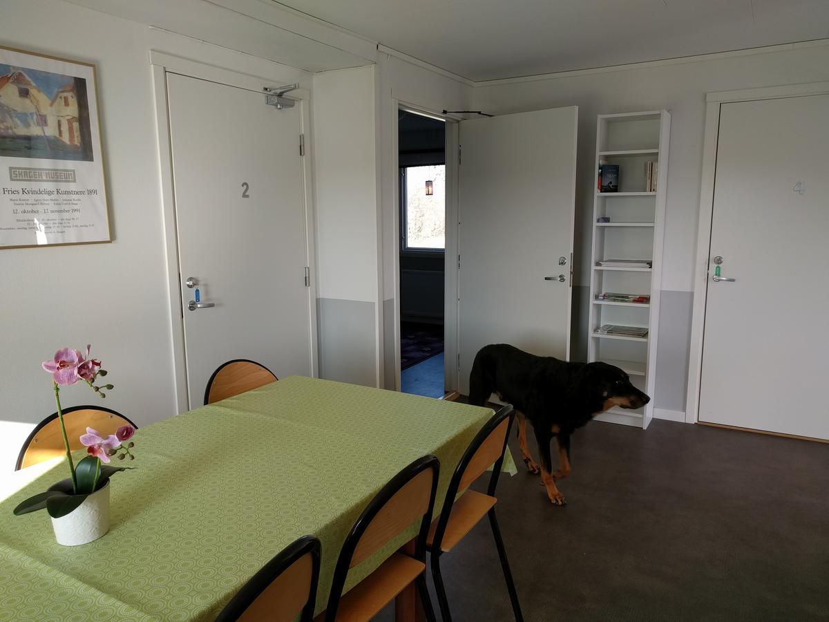 Degeberga Olserods Hundcenter & Vandrarhem المظهر الخارجي الصورة