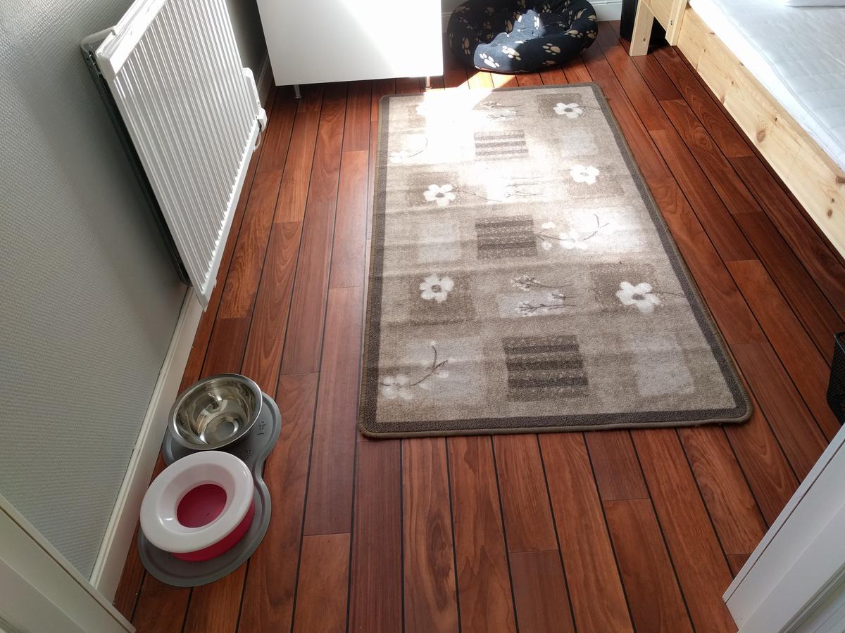 Degeberga Olserods Hundcenter & Vandrarhem المظهر الخارجي الصورة